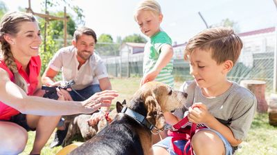 Expert shares 4 tips for choosing the right dog for your family