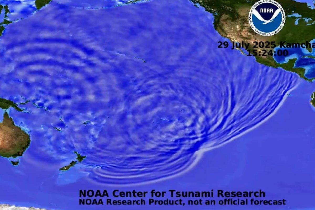 Animation Reveals How Tsunami Triggered By