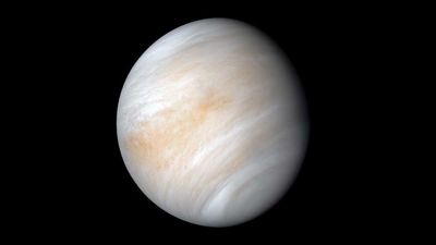 Venus reaches its highest point in the eastern predawn sky on Aug. 1: Here's how to see it