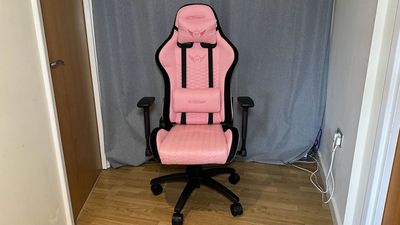 They told me a pink couch would look silly, so I tried a pink gaming chair instead