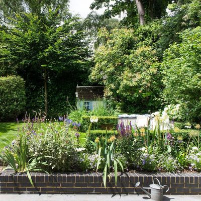 The unexpected plants that garden designers love to include in their own gardens – they add texture, charm and colour