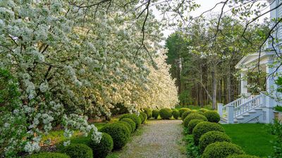 An English flower garden of one's own – how Pom Shillingford grew more than just dahlias and sweet peas in the grounds of her Connecticut home