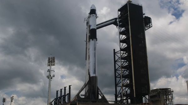 SpaceX, NASA scrub Crew-11 astronaut launch due to weather (video)