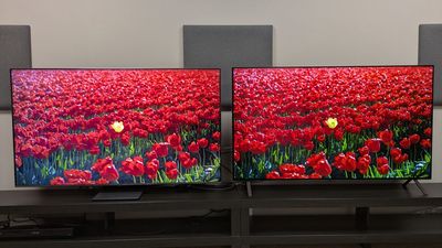 I tested LG's cheapest OLED TV and Samsung's more affordable mini-LED TV side-by-side and I know which one I'd buy