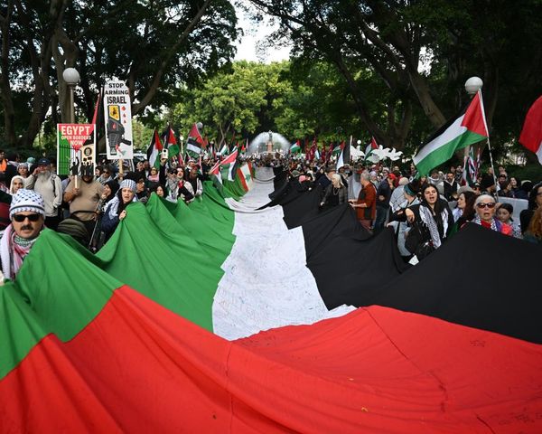Five Labor MPs defy NSW premier and vow to attend pro-Palestine march across Sydney Harbour Bridge