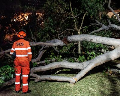 Wet and wintry weekend in store for NSW, with warnings of heavy rainfall and damaging winds