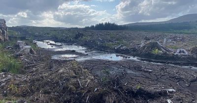 Call for community ownership of forests to combat corporate influence