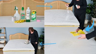 How to clean a mattress topper: urine, sweat stains, bed bugs and more