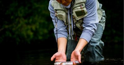 Warning issued as SEPA hunt for cause of 150 dead fish in river