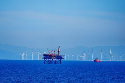 PM urged to review oil policy after Trump labels North Sea ‘a treasure chest’