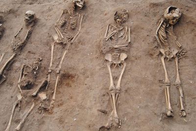 What medieval skeletons tell us about long-term health and life expectancy