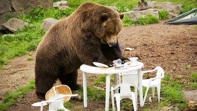 Stock Market Today: Dow Loses 542 Points As Indexes See Red; Even Nvidia Falls