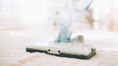 Are steam cleaners worth it? We ask the experts