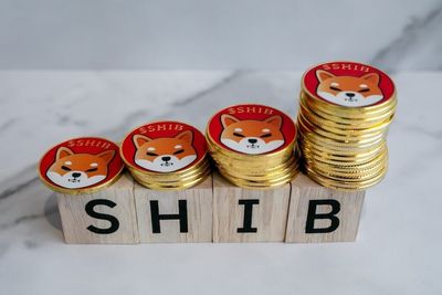 Shiba Inu Celebrates Its 5th Birthday With Burn Rate Spiking To 5,800%