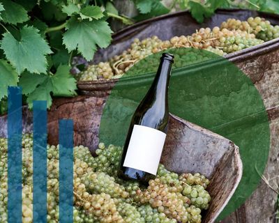Wine of the times: how organic viticulture can help you enjoy a drop without damaging the planet