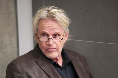 Gary Busey pleads guilty to groping a woman at a New Jersey convention