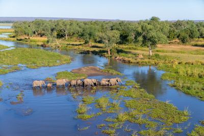 The struggle to protect wildlife around the world as Trump’s aid cuts start to bite
