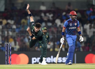 Pakistan and Afghanistan pen UAE T20 tri-series before Asia Cup