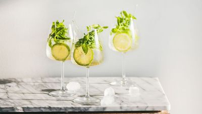 My bank account said no to Euro Summer – but yes to this DIY spritz inspired by the Italian alps