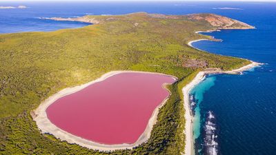 Australia's pink lakes: The remnants of ancient rivers now teeming with microbes that make rosy pigments