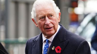 ‘He even cried’: Charles was totally forced to marry Diana, and the cufflinks prove it