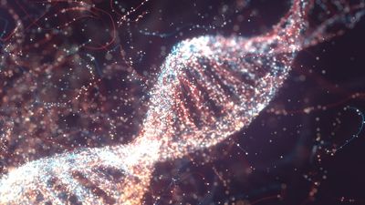 Ancient viruses embedded in our DNA help switch genes on and off, study finds