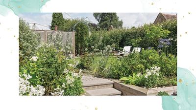 How to create a drought-tolerant garden: 4 steps to protect your plants