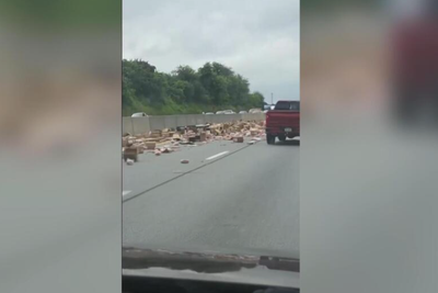 Watch: Hot dogs spill on highway causes commuters’ wurst nightmare: ‘They’re everywhere!’