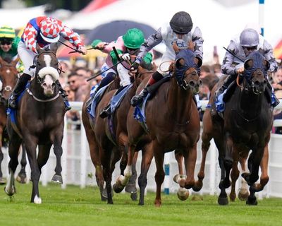Bargain buy Two Tribes strikes again in Stewards’ Cup at Goodwood