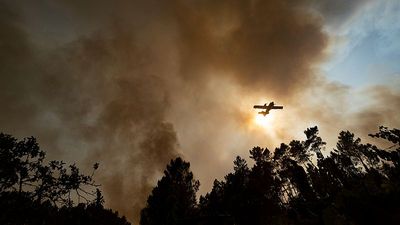Portuguese government declares high-alert due to high temperatures and fire risk