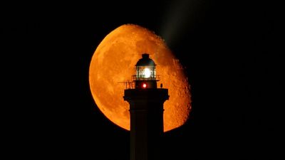 August Moon: Here's what to look for during all 4 major moon phases
