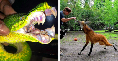 50 Times Nature Scared Us With Its Unpredictability And Demanded To Be Respected, Not Just Loved