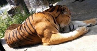 “Darn Nature You Scary”: 50 Times Nature Made People Go “Nope”