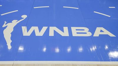 WNBA Releases Statement Announcing Fan's Arrest for Throwing Adult Object on Court