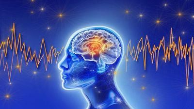 When your mind goes 'blank,' your brain activity resembles deep sleep, scans reveal