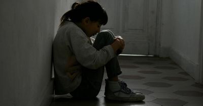 Scotland's child protection system described as 'racially biased'