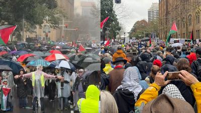Protestors Criticise Chris Minns As Pro-Palestine Marches Sweep Sydney & Melbourne