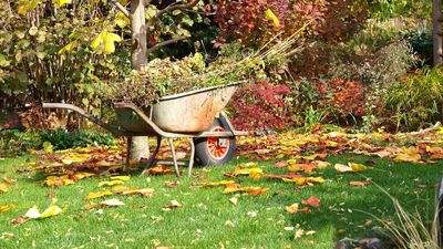 Weather experts at the Farmers’ Almanac predict a severe forecast for fall 2025 — protect your plants before it’s too late