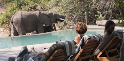 Communities near South Africa’s Kruger National Park prefer wildlife-friendly ways to earn a living over killing animals