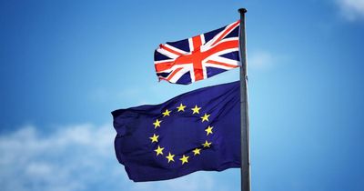 More than half of voters would back Remain if Brexit referendum held again – poll