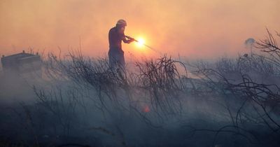 Widespread wildfires across Europe spark call to take threat seriously