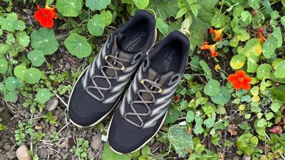 I tested the Lowa Maddox Pro GTX Lo for a month, and now they are my go-to travel hikers