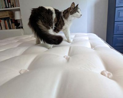 Can the Millbrook Wool Luxury 4000 mattress really keep you cool at night? I slept on it in a heatwave to find out