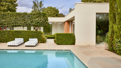 5 Drawbacks of a South-Facing Garden That Not Enough People Talk About — They're Not All Fun in the Sun