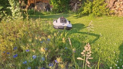 This compact lawnbot saved me from a summer of strenuous mowing