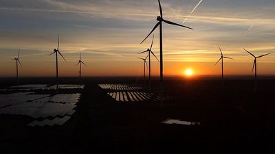 Experts urge rethink on renewable energy and its hidden environmental impact