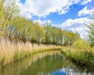 Wildlife has the right to roam our riverbanks too