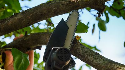 I thought I'd need an expensive arborist, but this $39 cordless mini chainsaw is the smart way to handle tough tree pruning jobs this fall