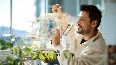 20 ways to bond with your bird