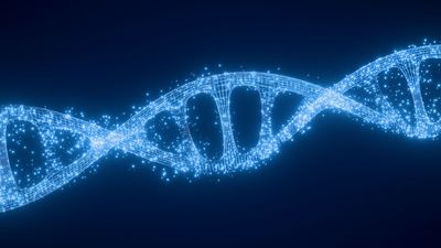 Humans may have untapped 'superpowers' from genes related to hibernation, scientists claim